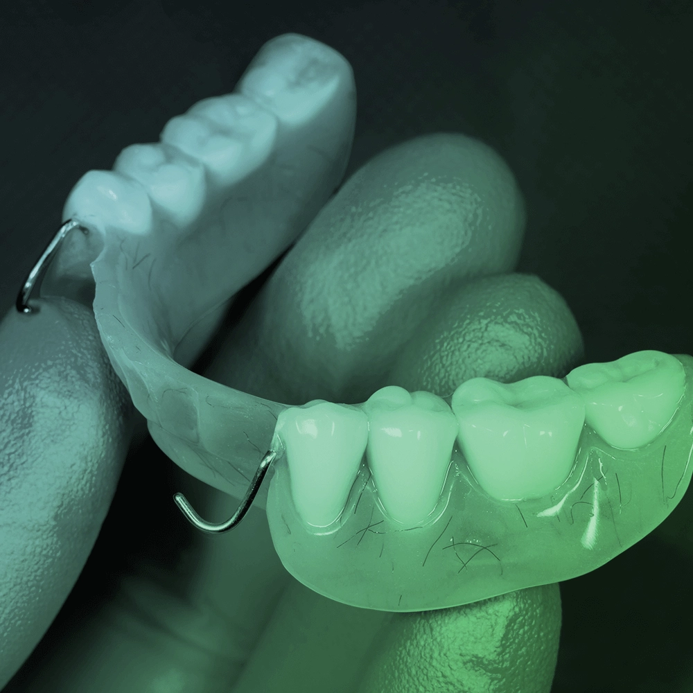 Hand holding partial denture.